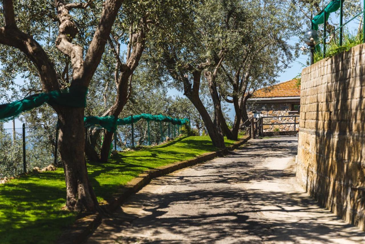 לינה וארוחת בוקר מסה לוברנסה Casa Clementina Marciano מראה חיצוני תמונה