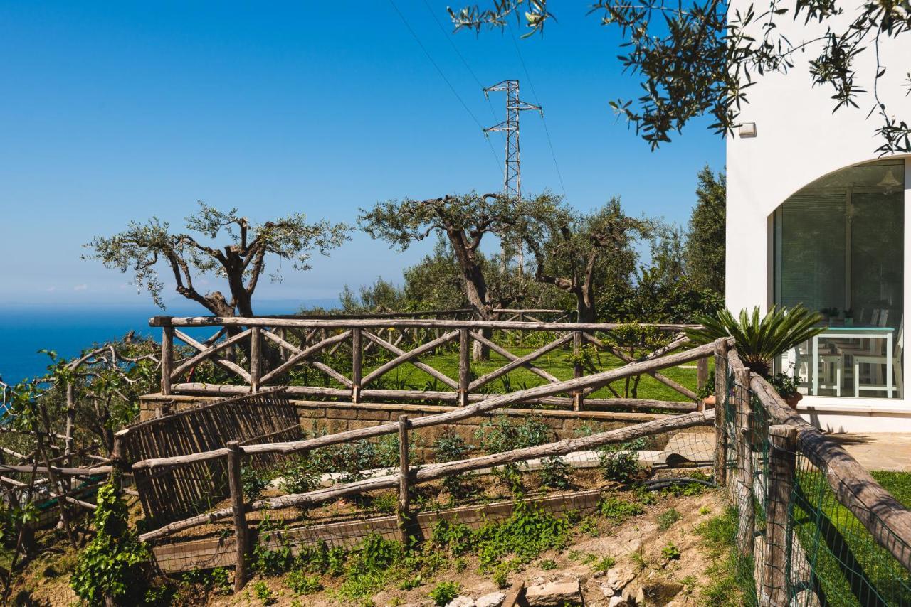 לינה וארוחת בוקר מסה לוברנסה Casa Clementina Marciano מראה חיצוני תמונה