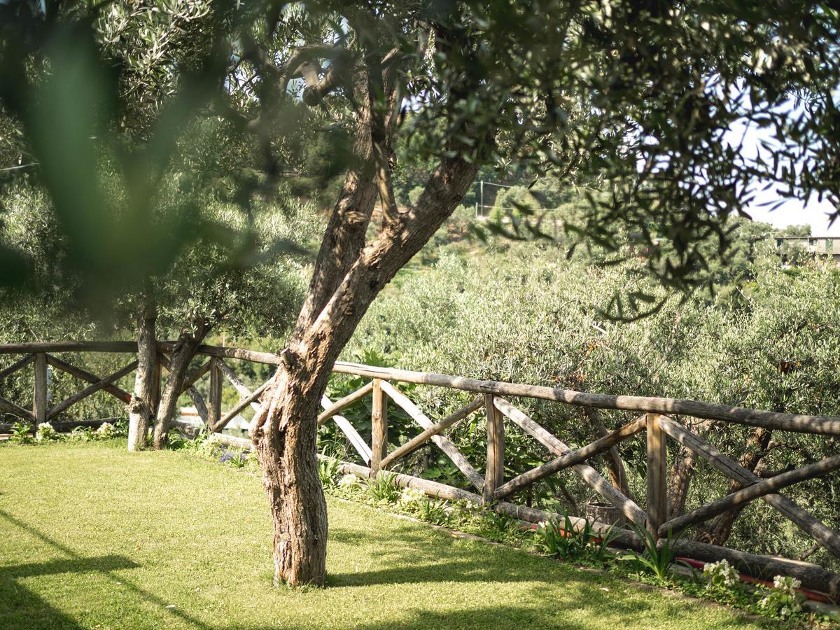 לינה וארוחת בוקר מסה לוברנסה Casa Clementina Marciano מראה חיצוני תמונה